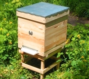 Як побудувати вулик для бджіл креслення. Як самостійно виготовити бджолиний  вулик? Рамки у вулик: розміри та опис як зробити своїми руками